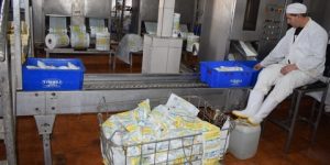 ملبنة نوميديا بقسنطينة: رفع الإنتاج اليومي من حليب الأكياس المدعم إلى أزيد من 240 ألف لتر تحسبا لشهر رمضان