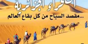 العدد 41 _ جانفي 2023