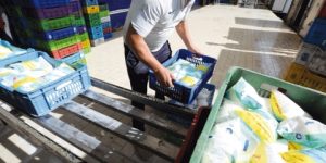 إنتاج 900 الف لتر من الحليب يوميا بالعاصمة