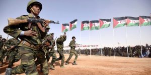 البوليساريو حركة تحرر وليس إرهاب