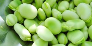 أضرار الفول الأخضر.. متى يسبب الوفاة المفاجئة؟