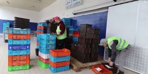 رفع إنتاج الحليب إلى أكثر من 255 ألف لتر بقسنطينة