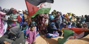 القضية الصحراوية تشهد زخما اعلاميا كبيرا في الصحافة الدولية