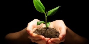 التعاون – أهميته وفوائده –