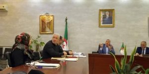 التعجيل باتمام المشاريع التنموية بالقبة 