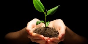 خواطر.. النية الحسنة