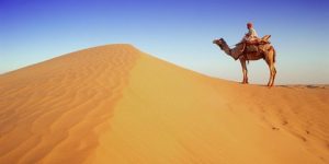 سنريهم آياتنا في الآفاق.. أرض العرب “الجزيرة العربية”