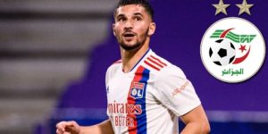 “الفاف” ترد على الحملة الشرسة التي يتعرض لها عوار