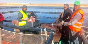 قالمة.. تخصيص عما قريب أوعية عقارية لفائدة الراغبين في تربية المائيات