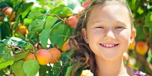 صحتنا في غذائنا.. المشمش للأطفال- إليكِ فوائده وأضراره