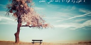 سؤال وجواب.. ما هو فضل “لا حولَ ولا قوةَ إلا باللهِ” ؟