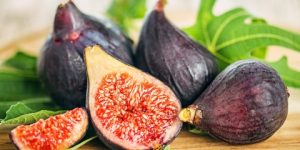 سنريهم آياتنا في الآفاق.. فاكهة التين