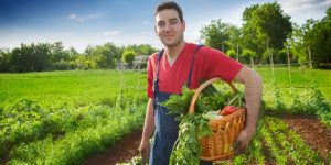 سنريهم آياتنا في الآفاق.. جوانب من النعم الإلهية