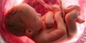 سنريهم آياتنا في الآفاق.. فَكَسَوْنَا الْعِظَامَ لَحْمًا