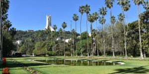 صحيفة “ذا صن” البريطانية تصف الجزائر بالجوهرة غير المكتشفة