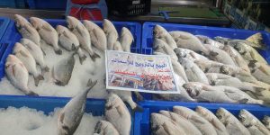 عين تموشنت.. تحقيق 1.7 مليون يورو من الصادرات السمكية في 2023