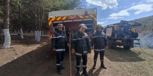 إعداد مخطط ولائي للوقاية من حرائق الغابات بسوق أهراس