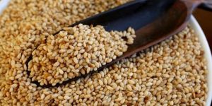 صحتنا في غذائنا.. فوائد تجعلك تتناول السمسم “الجلجلان” يومياً