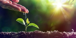 الإسلام دين إعمار وبناء