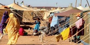 اللاجئون الصحراويون: اختيار مكتب اليونيسيف بالجزائر من ضمن الفرق الاكثر فعالية