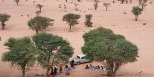 تندوف.. برامج مكثفة لتطوير وتوسيع مساحات الأرقان