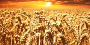 سنريهم آياتنا في الآفاق.. تسخير الكون للإنسان