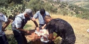 تحضير “الخليع” وتجفيف لحوم الأضحية حاضرة بخنشلة