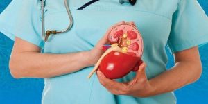 جديد الطب.. لماذا يزداد خطر تكوّن حصوات الكلى في الصيف؟