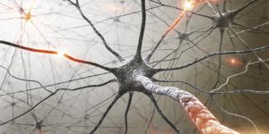 جديد الطب.. 2.3  مليون مصاب بتصلب الأنسجة المتعدد في العالم