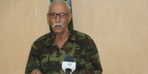 ” غالي” يحذر من السياسات العدوانية لدولة الاحتلال المغربي  التي تهدد استقرار المنطقة