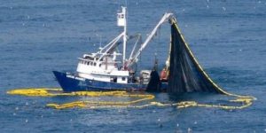 في ظل عدم تجديد اتفاقية الصيد البحري الصحراوي.. حسابات المخزن تختلط