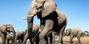 سنريهم آياتنا في الآفاق.. يخلق الله ما يشاء