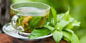 صحتنا في غذائنا.. الشاي الأخضر لا يكافح الخرف فقط بل حتى هذا المرض القاتل