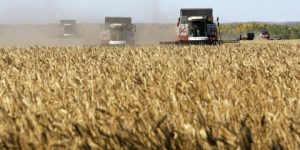 روسيا تعرض على الدول الأفريقية حلولا لمشاكل الغذاء