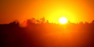 الأرض تستعر.. هل موجات الحر دليل على تسارع تغير المناخ؟