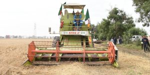 عين الدفلى..  أزيد من نصف مليون قنطار من الحبوب