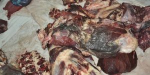 حجز أكثر من ثلاثة قناطير من اللحوم الغير صالحة للإستهلاك بالجلفة.