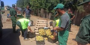 اخلاء أرصفة الرويبة ممن الباعة الفوضويين