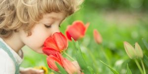 سنريهم آياتنا في الآفاق.. حاسَّة الشم