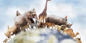 سنريهم آياتنا في الآفاق.. “والله خلق كل دابة”