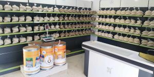 عين الدفلى.. فتح نقاط توزيع جديدة لبذور الحبوب