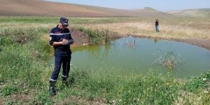 الجلفة.. تكثيف التوعية حول مخاطر السباحة في الوديان والبرك