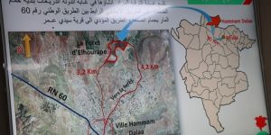 المسيلة.. نحو تجسيد مشروع غابة الترفيه بالحوران في حمام الضلعة