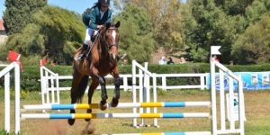 رميلي رئيسا جديدا للاتحادية الجزائرية للفروسية