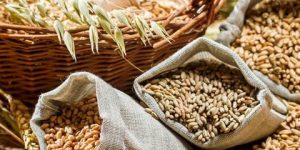 صحتنا في غذائنا.. نعم للحبوب الكاملة بعد الأربعين!