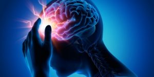 سنريهم آياتنا في الآفاق.. خصائصَ الدّماغِ البشريِّ