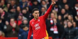 توتنهام يضم جونسون كتعويض عن هاري كاين