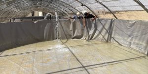 ورقلة : تنظيم دورة تكوينية في مجال تربية المائيات لفائدة 50 شابا 