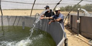 نشاط تربية المائيات.. إقبال كبير للفلاحين بعين الدفلى