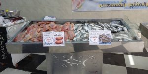 الشلف.. فتح نقاط لبيع السمك بأسعار تنافسية